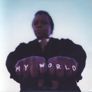 Lee Fields & The Expressions - My World album cover