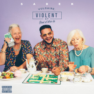Sadek - #VVRDL (Vulgaire, Violent Et Ravi D'être Là) album cover