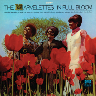 The Marvelettes - In Full Bloom album cover