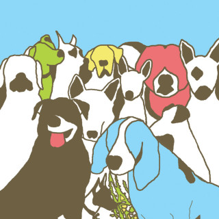 The Format - Dog Problems album cover