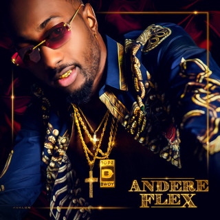 Dopebwoy - Andere Flex album cover