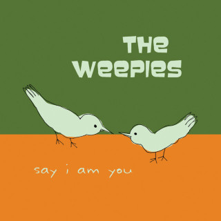 The Weepies - Say I Am You album cover