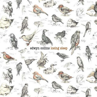 Edwyn Collins - Losing Sleep album cover