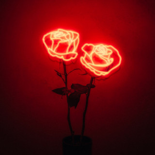 Paul McDonald - Modern Hearts album cover