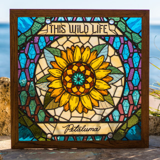 This Wild Life - Petaluma album cover