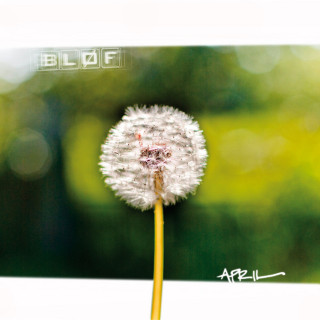 BLØF - April album cover