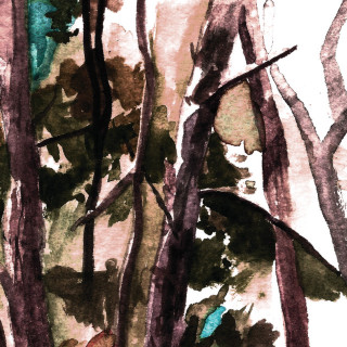 Hop Along - Bark Your Head Off, Dog album cover
