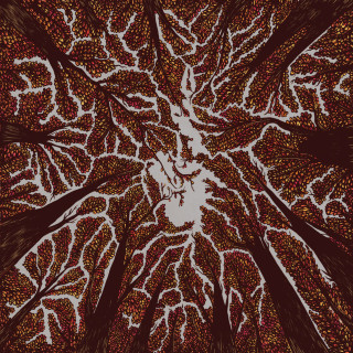 Trash Boat - Crown Shyness album cover