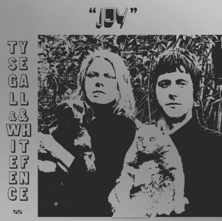 Ty Segall - Joy album cover