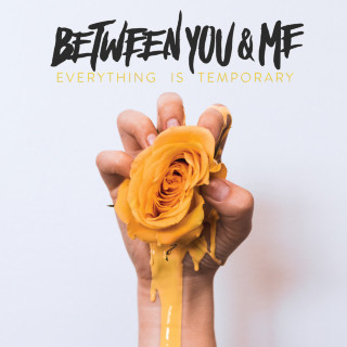 Between You & Me - Everything Is Temporary album cover