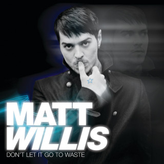 Matt Willis - Don't Let It Go To Waste album cover