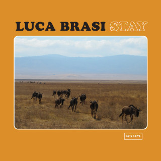 Luca Brasi - Stay album cover