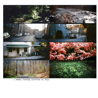 Teen Suicide - A Whole Fucking Lifetime Of This album cover
