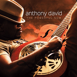Anthony David - The Powerful Now album cover