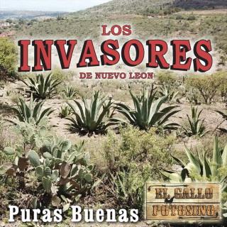 Los Invasores De Nuevo Leon - Puras Buenas album cover