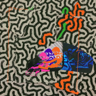 Animal Collective - Tangerine Reef album cover
