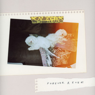 SALES - Forever & Ever album cover
