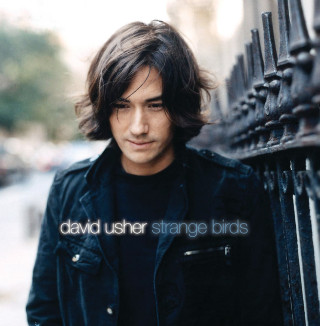 David Usher - Strange Birds album cover