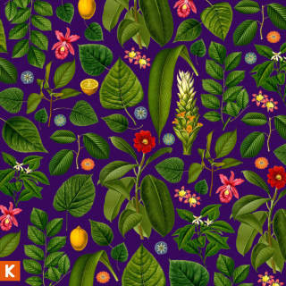 Kings Kaleidoscope - Becoming Who We Are album cover