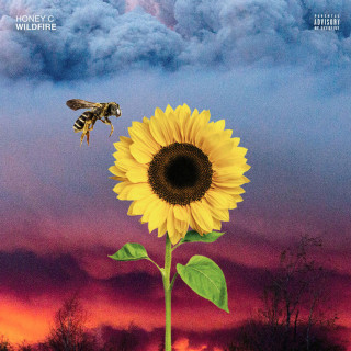 Honey C - Wildfire album cover