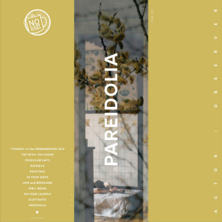 Actor | Observer - Pareidolia album cover
