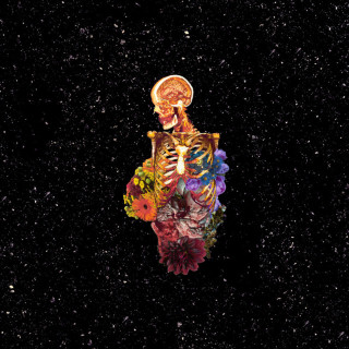 Getter - Visceral album cover