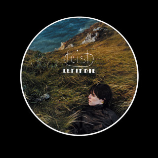 Feist - Let It Die album cover