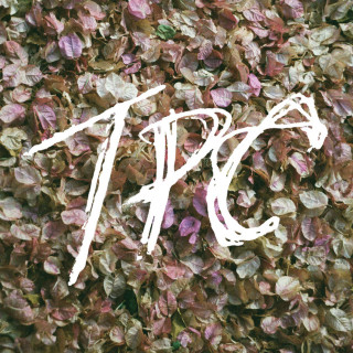 Tokyo Police Club - TPC album cover