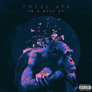 Total Ape & Nico & Vinz - In A Haze EP cover