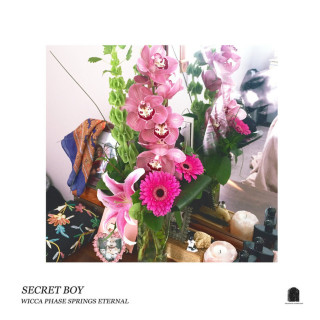 Wicca Phase Springs Eternal - Secret Boy album cover