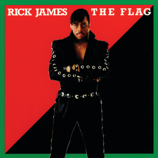 Rick James - The Flag album cover