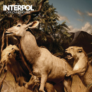 Interpol - Our Love To Admire album cover