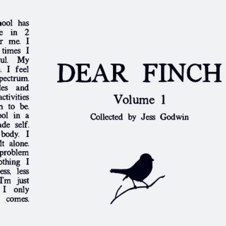 Jess Godwin - Dear Finch album cover