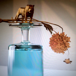 Beirut - Gallipoli album cover