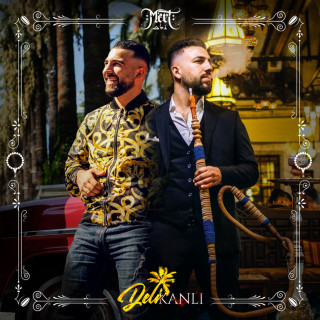 Mert - Delikanlı album cover