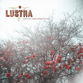 Lustra - What You Need & What You Get album cover