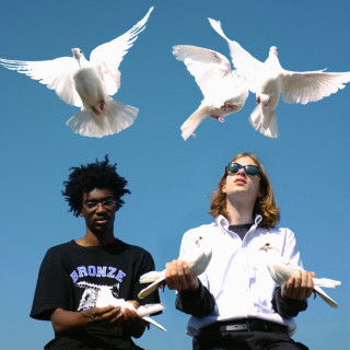 Danger Incorporated - Birds Fly By Night album cover
