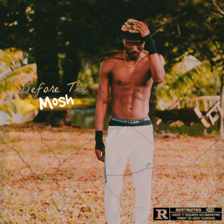 Bass Santana - Before The Mosh album cover