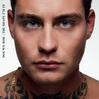 Douwe Bob - The Shape I'm In album cover