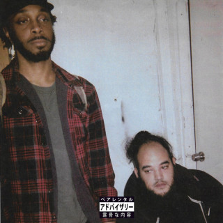 JPEGMAFIA - The 2nd Amendment album cover