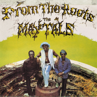 Toots And The Maytals - From The Roots album cover