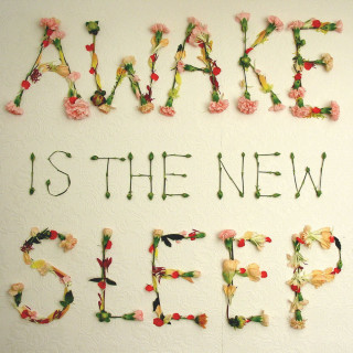 Ben Lee - Awake Is The New Sleep album cover