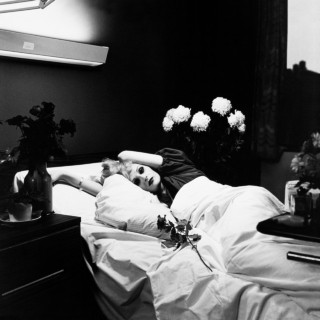 Antony And The Johnsons - I Am A Bird Now album cover
