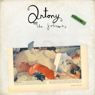 Antony And The Johnsons - Swanlights album cover