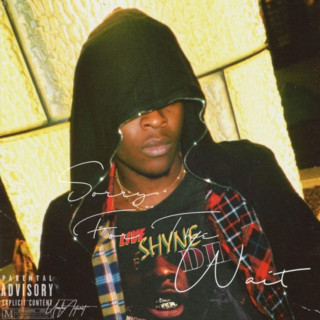 UnoTheActivist - Sorry For The Wait (Brooke's Interlude) mixtape cover