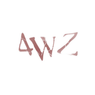 Shy Girls - 4WZ mixtape cover