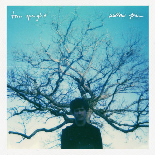 Tom Speight - Willow Tree EP cover