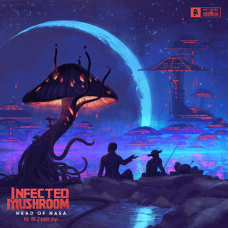 Infected Mushroom & Bliss - Head Of NASA And The 2 Amish Boys album cover