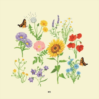 gnash - We album cover