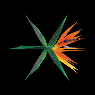 EXO - THE WAR (Chinese Version) album cover